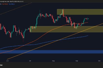 The BTC Bulls promote rallies as risks remain