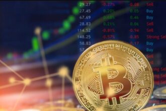"I'm not joking if Bitcoin's bullish cycle is over": Carmelo German