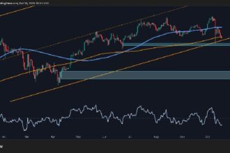 BTC falls $20,000 from ATH, first signs of weakness appear