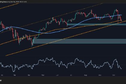 BTC falls $20,000 from ATH, first signs of weakness appear