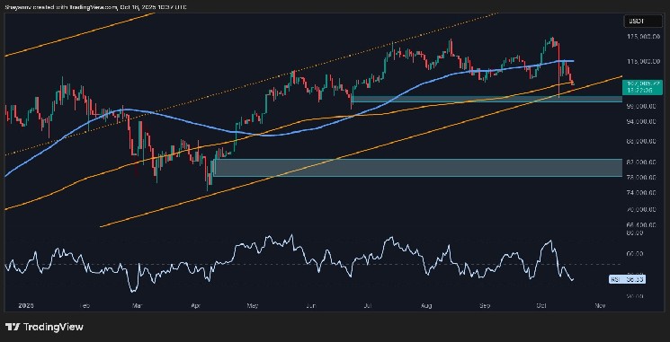 BTC falls $20,000 from ATH, first signs of weakness appear