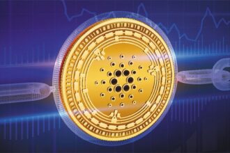 Google makes Cardano Staking (ADA)