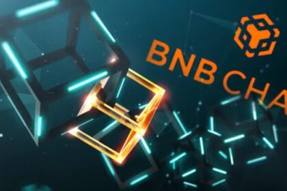 Crowds have fallen in love with BNB Chain, the network created by Binance