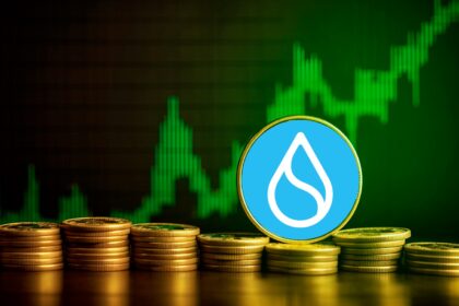 Two new stub coins to be launched on SUI network