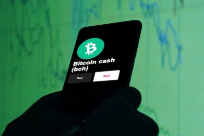 The price of Bitcoin Cash is rising, but what is happening to this virtual currency?