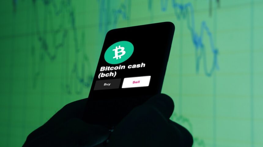 The price of Bitcoin Cash is rising, but what is happening to this virtual currency?