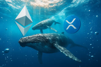 While the Ethereum whale rotates, XRP data shows a fatal concentration flaw that leaves one group holding the bag.