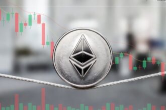 Network activity expands