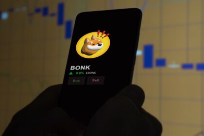 Bonk attracted investment from BlackRock, Morgan Stanley, and other financial giants.